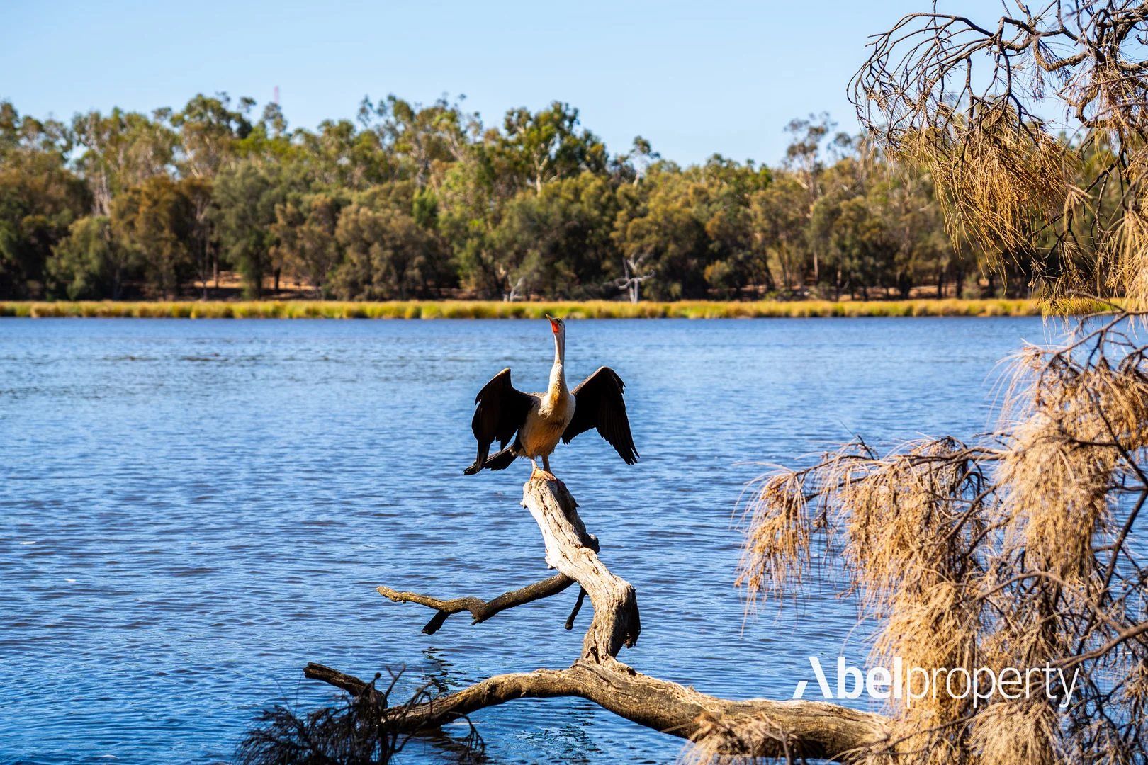 Additional image 16 of 25/28 Peninsula Road, Maylands WA 6051