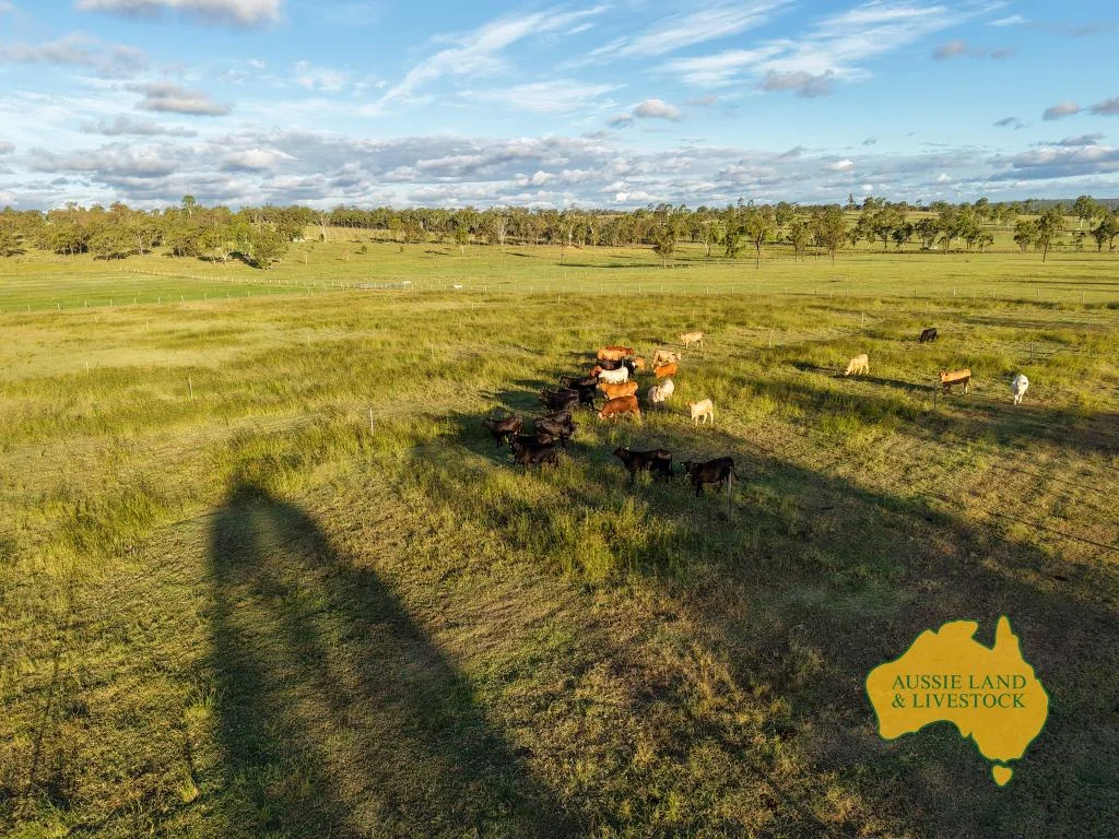 Additional image 35 of 854 MUNDUBBERA-DURONG ROAD, Boynewood QLD 4626