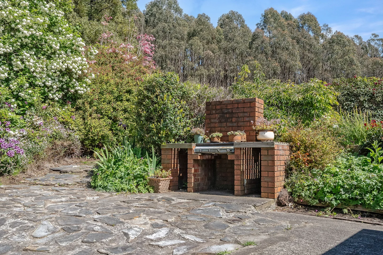 Image 16