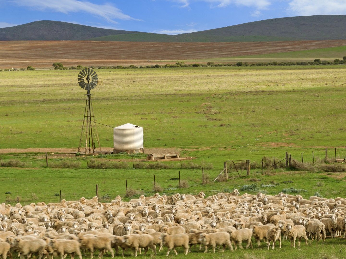 'Carinya' Goyder Highway, Burra SA 5417, Image 0