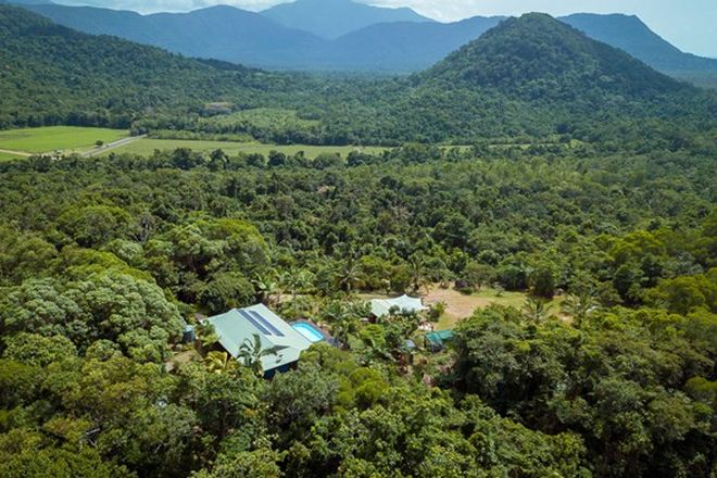 Picture of 19 Palm Road, DAINTREE QLD 4873
