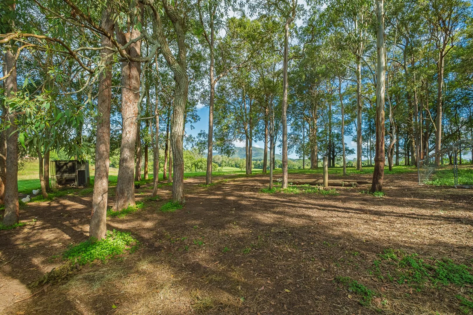 Additional image 28 of 40 McGinn Road, Gheerulla QLD 4574