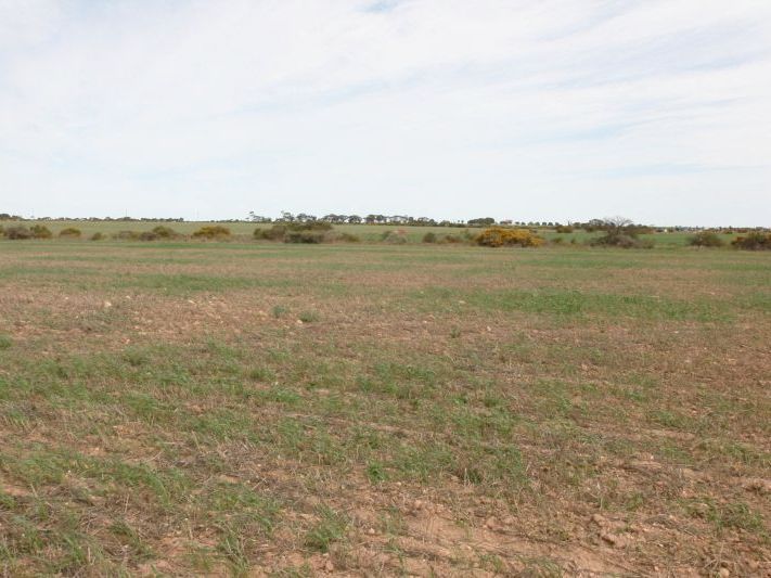 Lot 102 Donaldson Road, Kadina SA 5554, Image 0