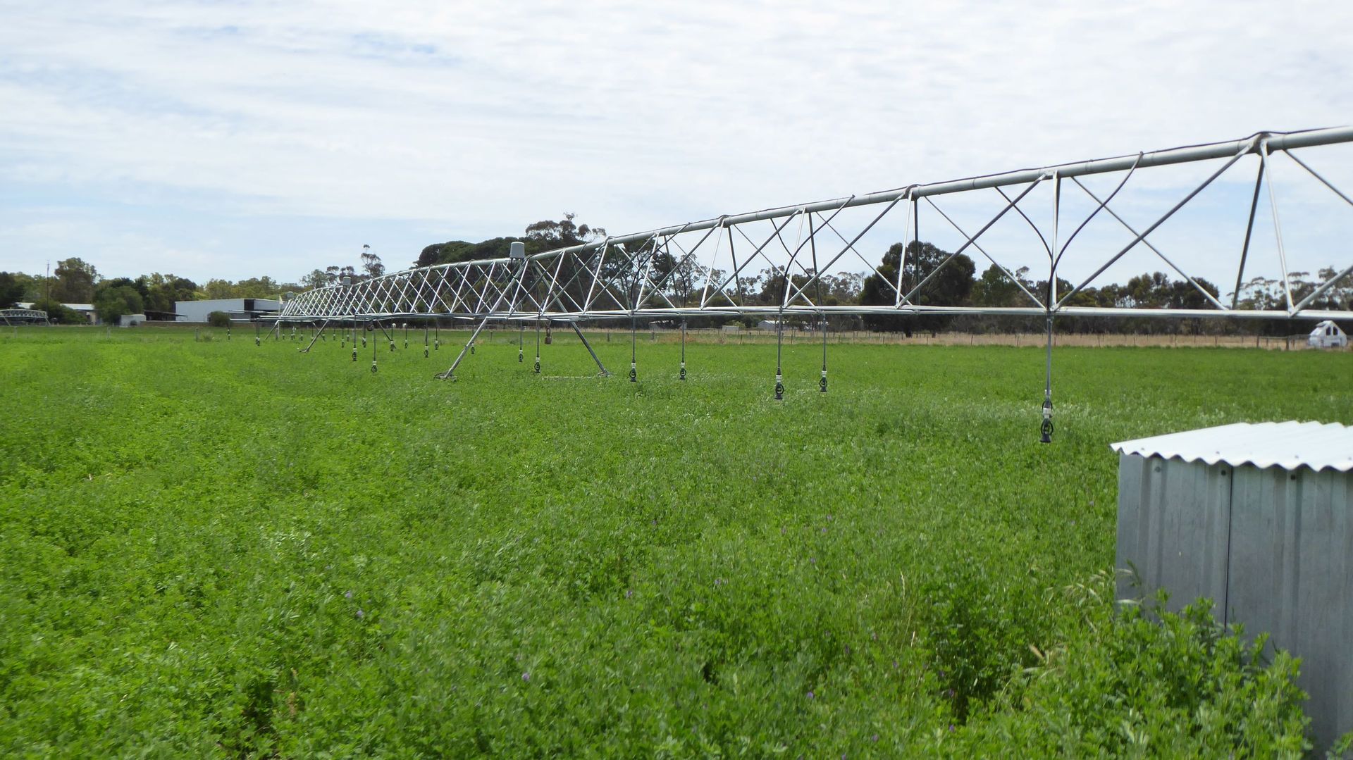 Sec 151/152, Lot 503 Chark Road, Mundulla SA 5270 Specialist Farm for