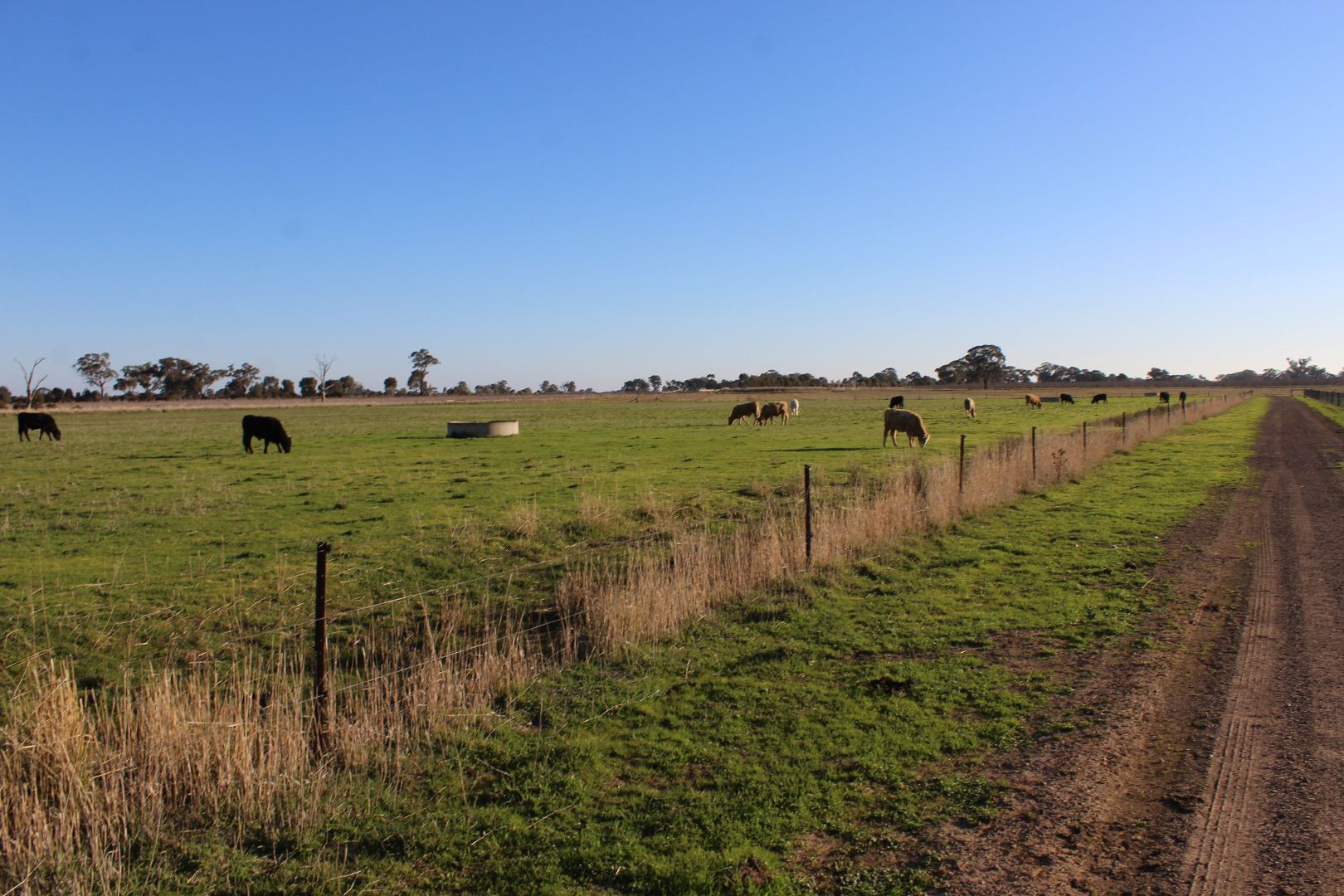 1660 Pogue Road, Tatura VIC 3616, Image 2