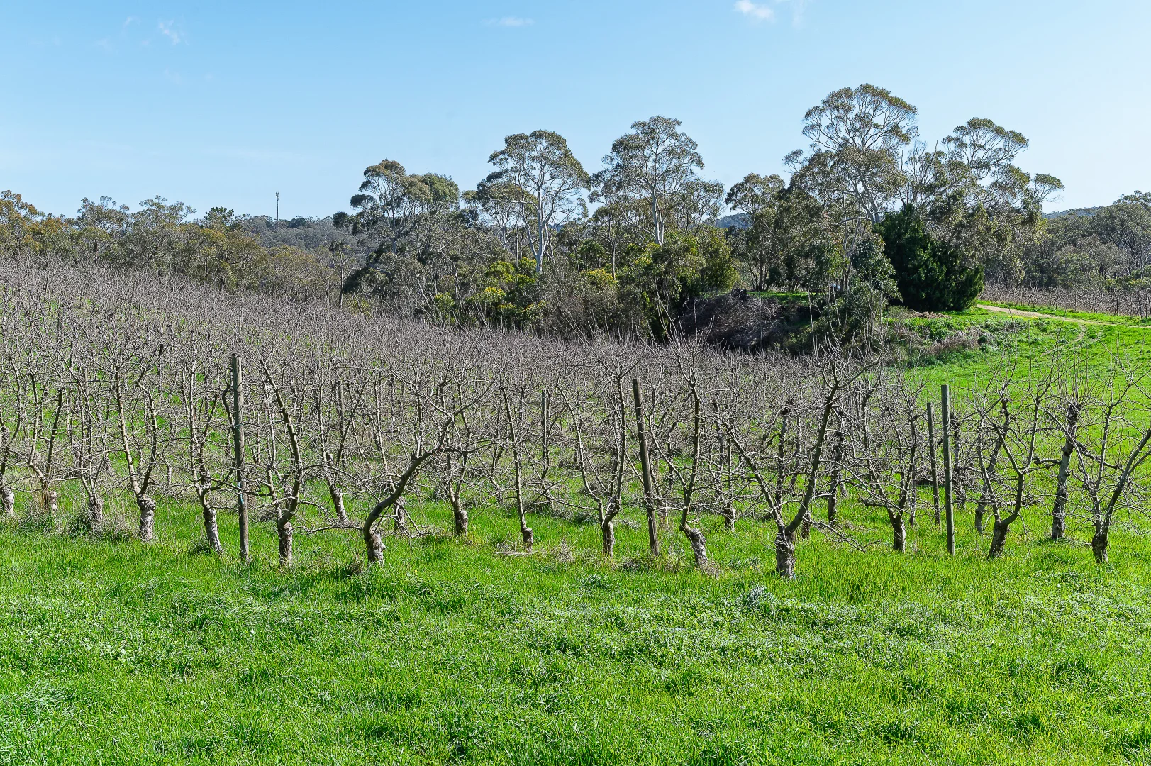 Image 13