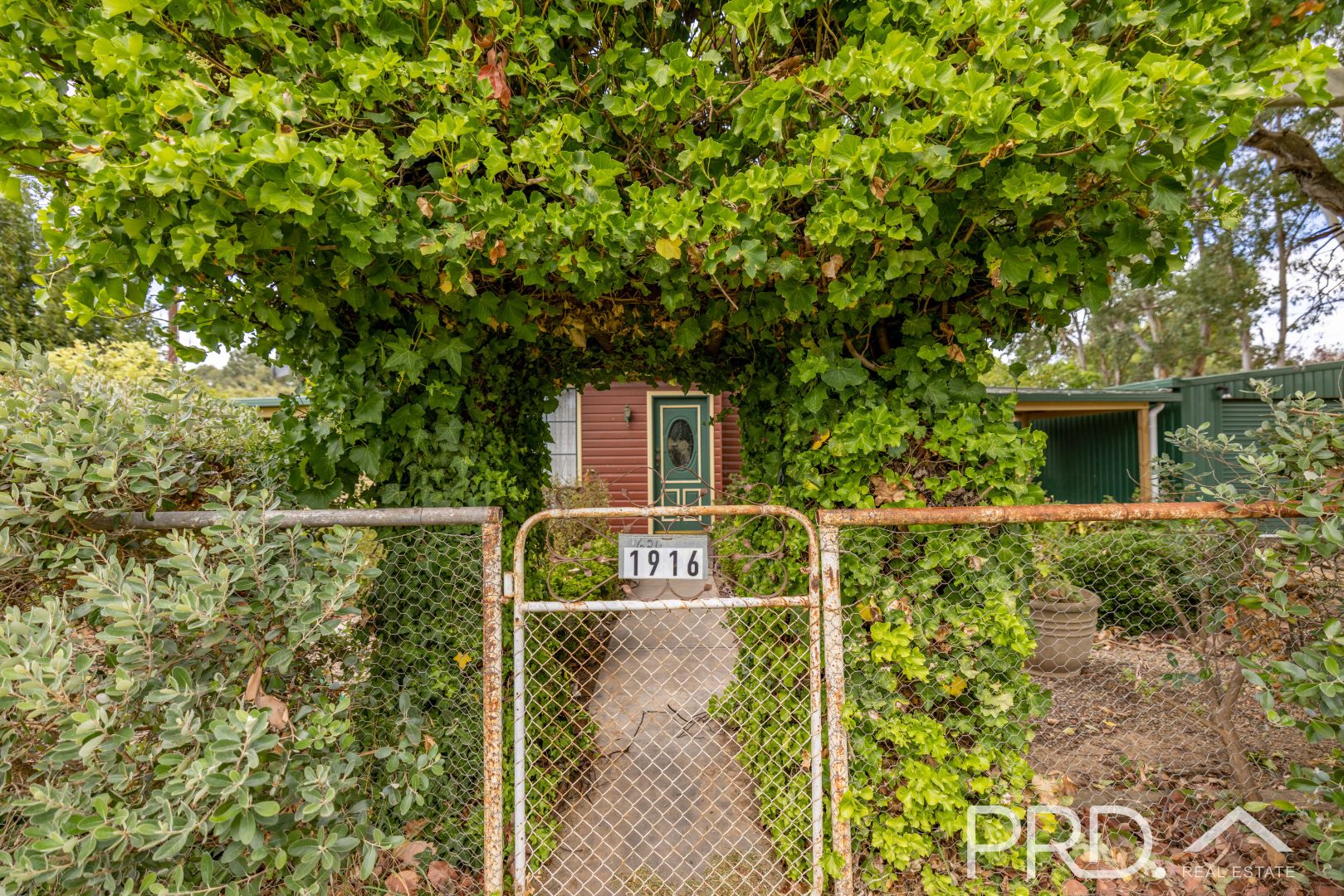 1916 Adelong Road, Tumblong NSW 2729, Image 1