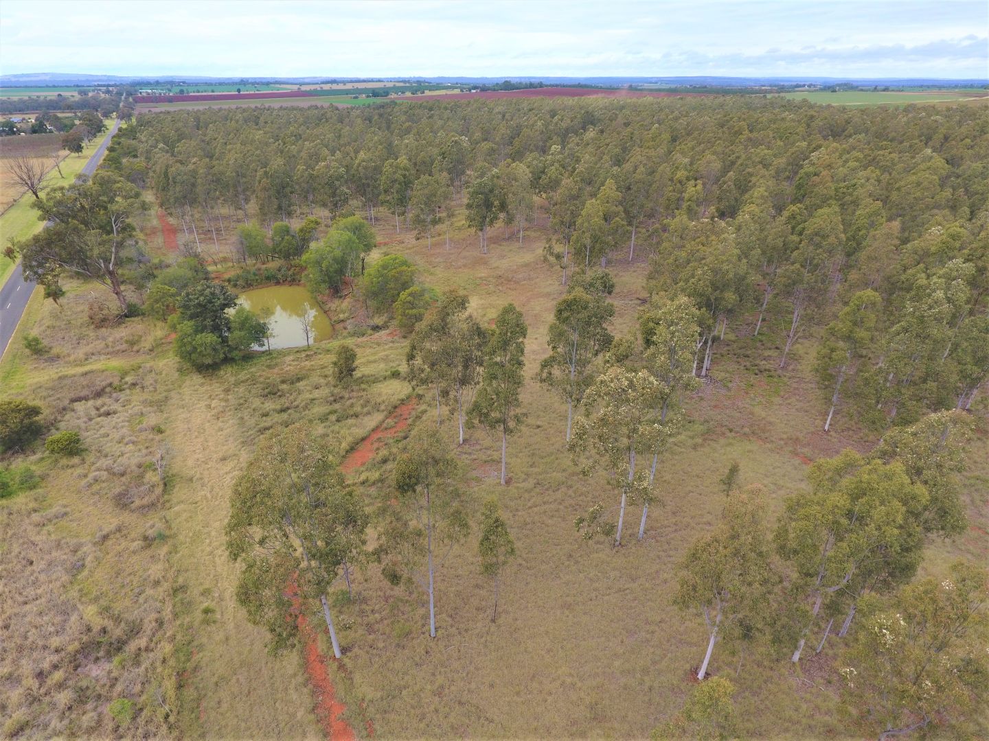 2 Plantation Properties @ Wattlegrove, Kingaroy QLD 4610, Image 1