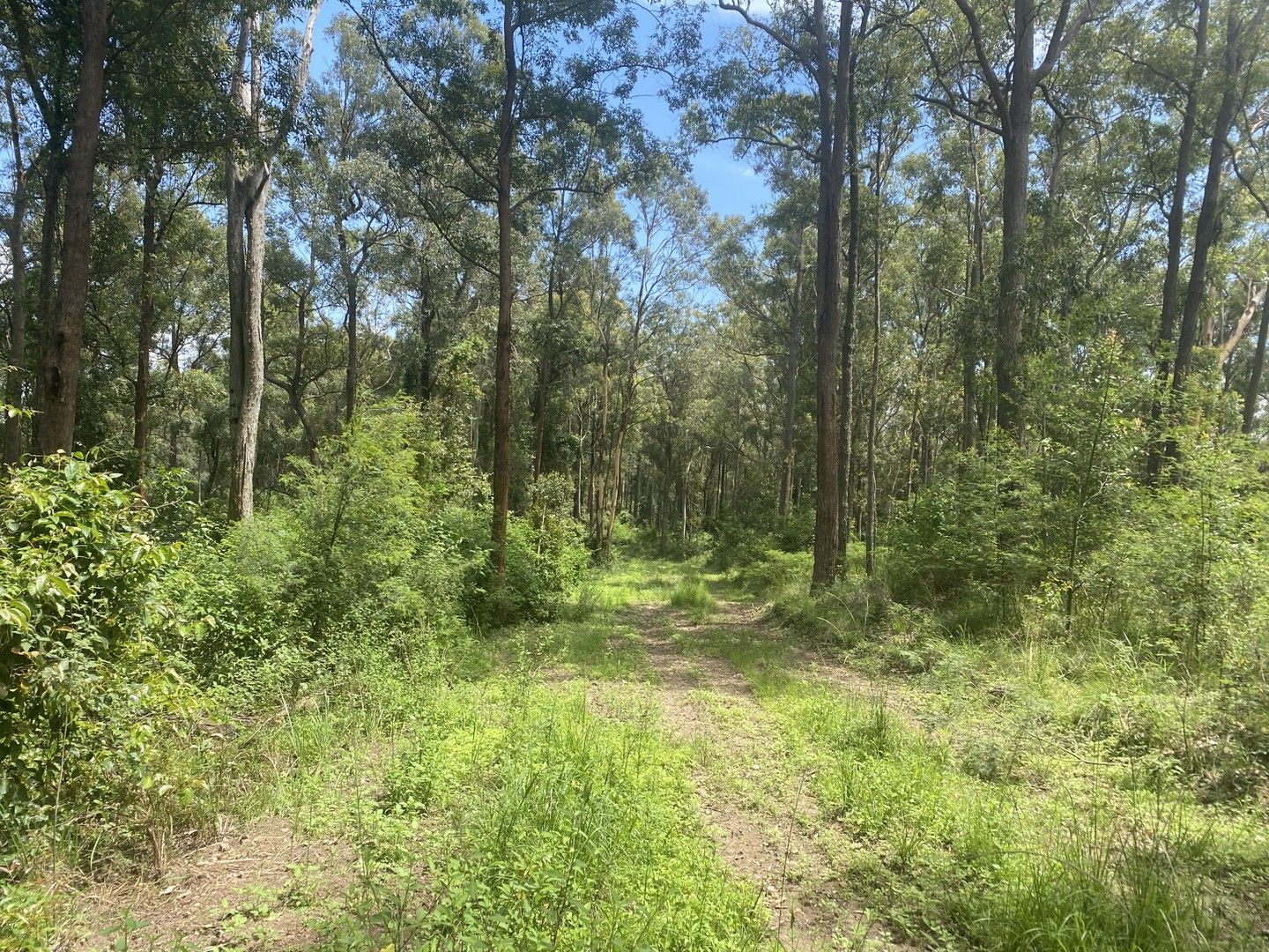 * Bullen Bullen Rd, Waukivory NSW 2422, Image 0