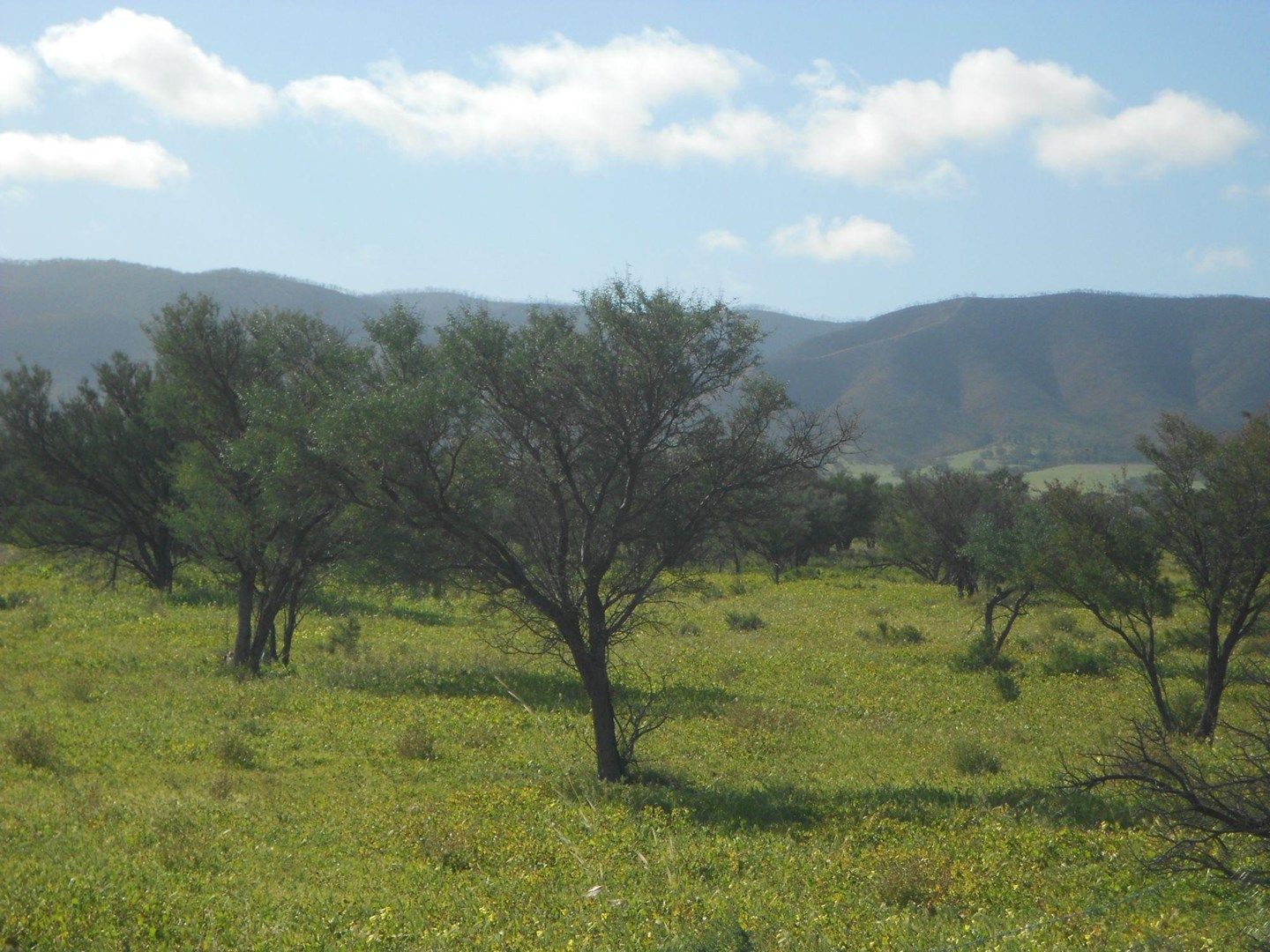 Lot 181 Government Road, Napperby SA 5540, Image 0