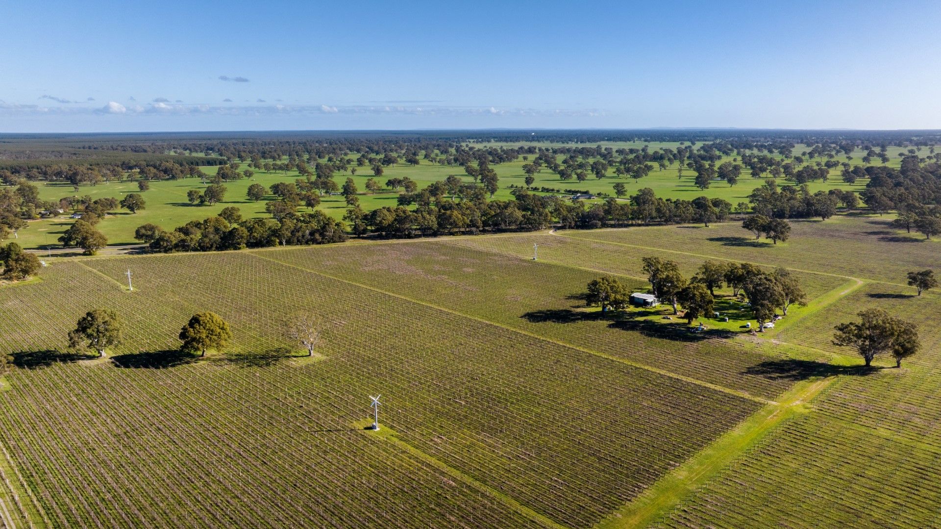 719 Casterton Road, Penola SA 5277, Image 1