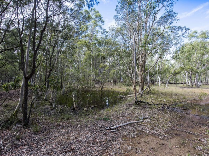 288 Black Swan Drive, Coutts Crossing NSW 2460, Image 1