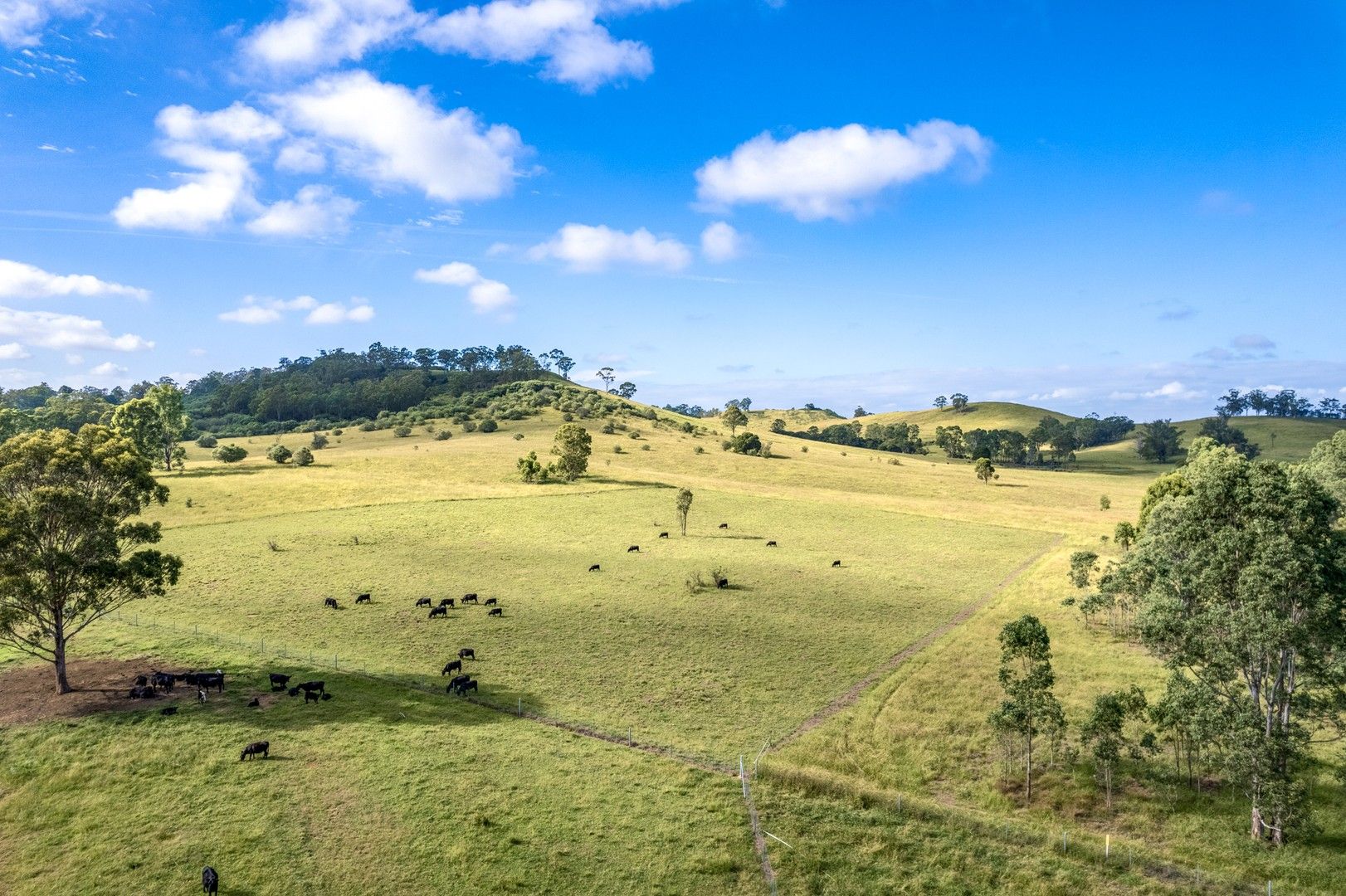 5 bedrooms Acreage / Semi-Rural in 420 Cut Hill Road COBBITTY NSW, 2570