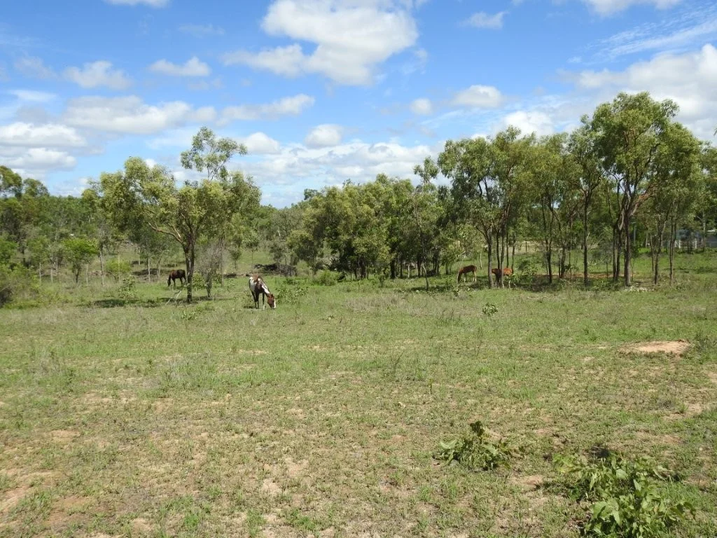 Image 25