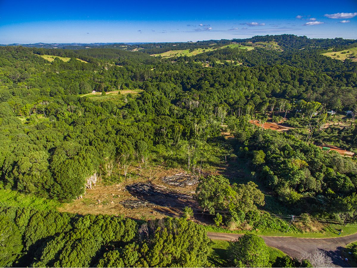 Lot 6/95 Newes Road, Coorabell NSW 2479, Image 0