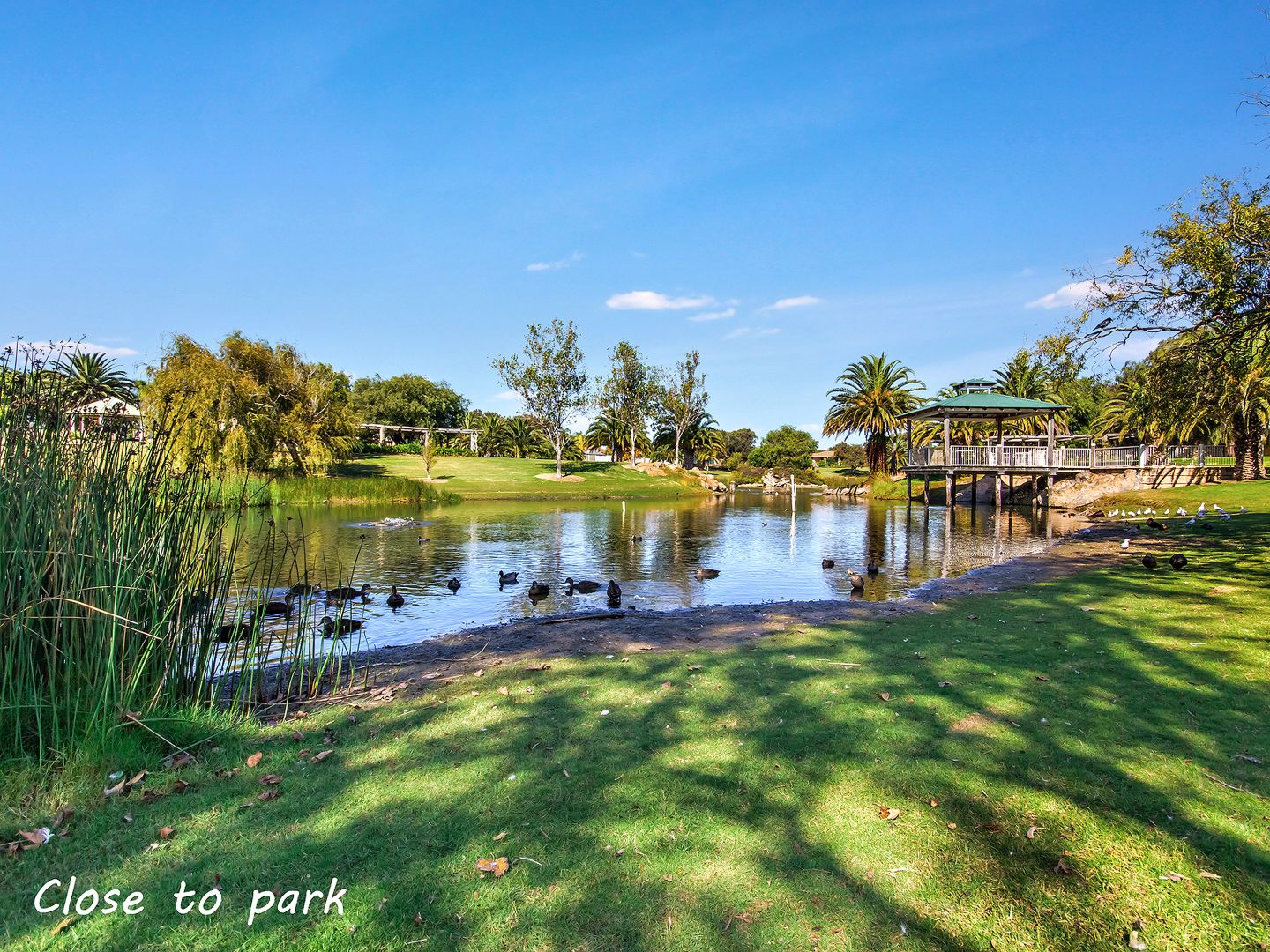 70 Cuthbertson Drive, Cooloongup WA 6168, Image 2