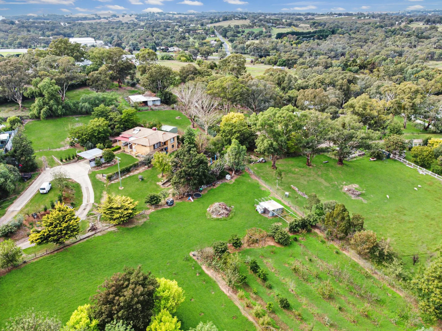 Additional image 5 of 28 Nasmyth Street, Young NSW 2594