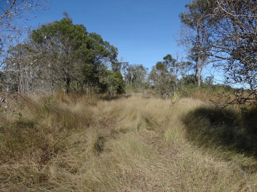 Lot 6 Gin Gin Road, Bucca QLD 4670, Image 0