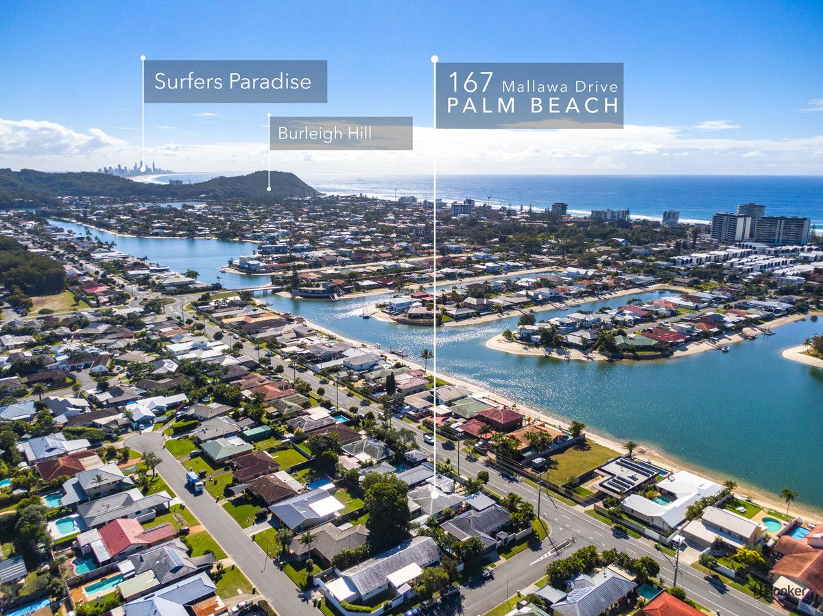 4 bedrooms House in 167 Mallawa Drive PALM BEACH QLD, 4221