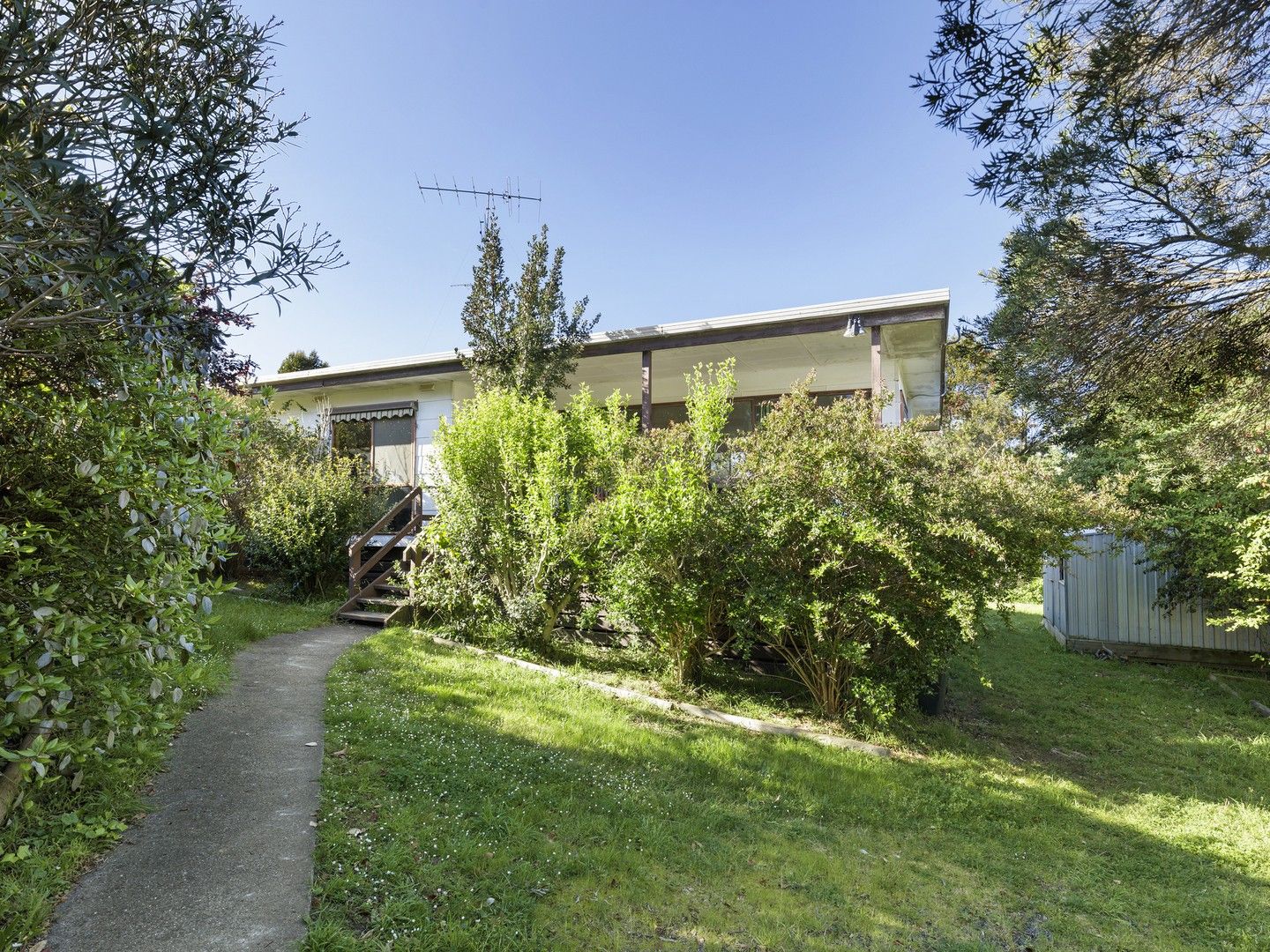 9 Alleyne Avenue, Torquay VIC 3228, Image 0