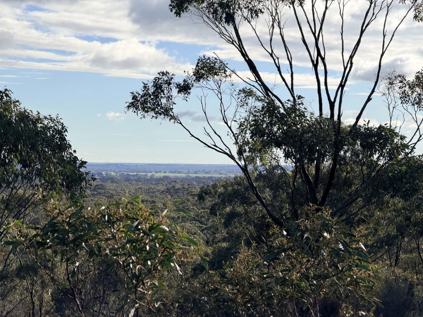 Image 18