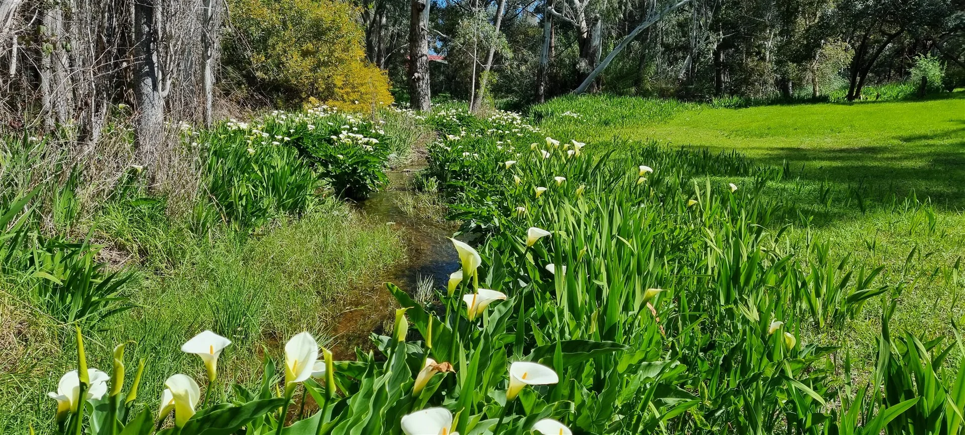 Additional image 9 of 16 Harold St, Glen Forrest WA 6071