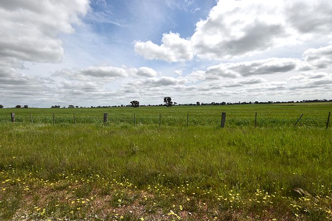 McEwen Road, Stanhope South VIC 3623, Image 0