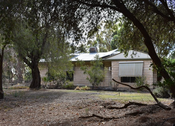 1333 Bookpurnong Road, Loxton North SA 5333