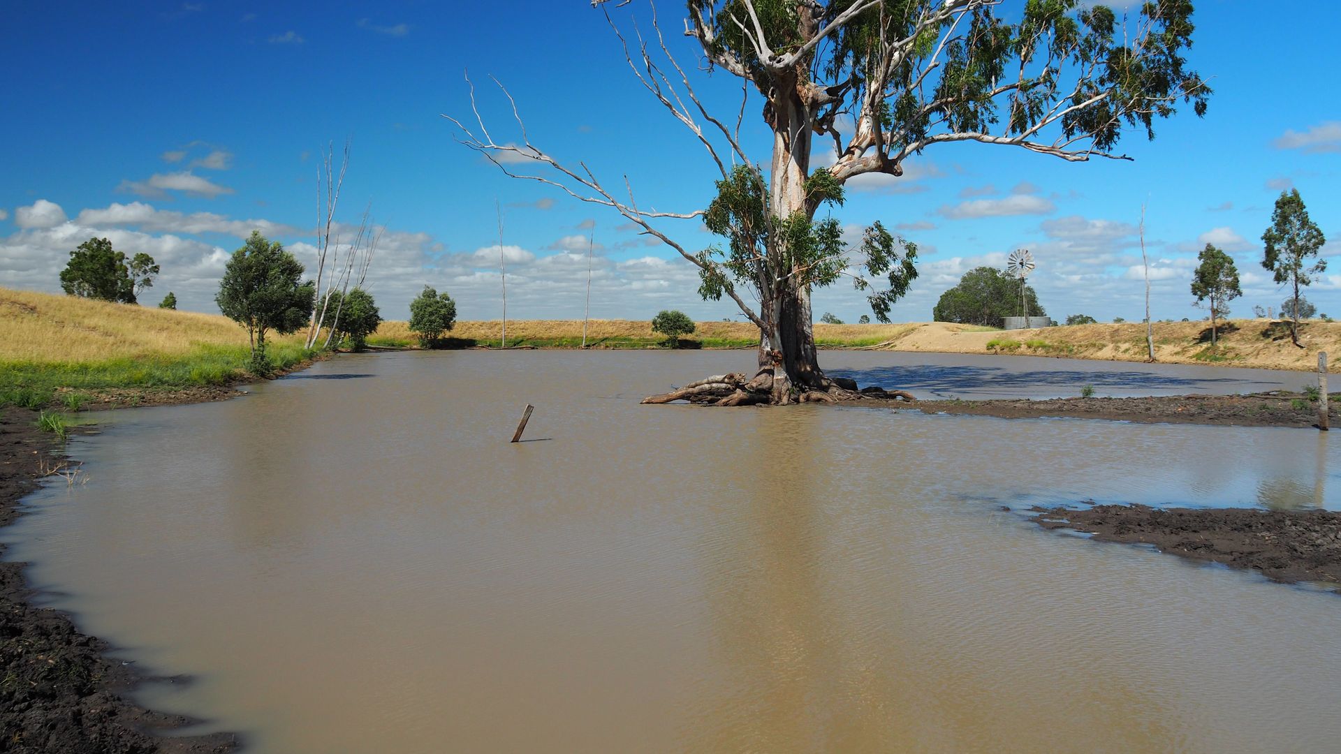 2130 BARALABABANANA ROAD, Baralaba QLD 4702 House for Sale