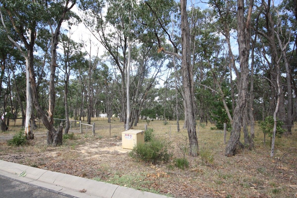 Lot 4 Silverwattle Drive, Invermay VIC 3352, Image 0