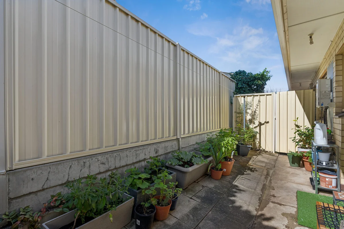 1/1 Whinnen Street, St Agnes SA 5097 - Apartment For Rent | Domain