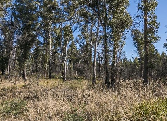 Lot 6 Lanes Tier Road, Ouse TAS 7140, Image 1