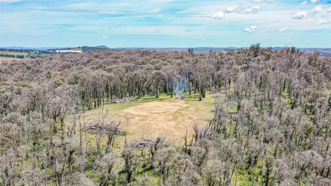 15A Batlow Road, Batlow NSW 2730, Image 1