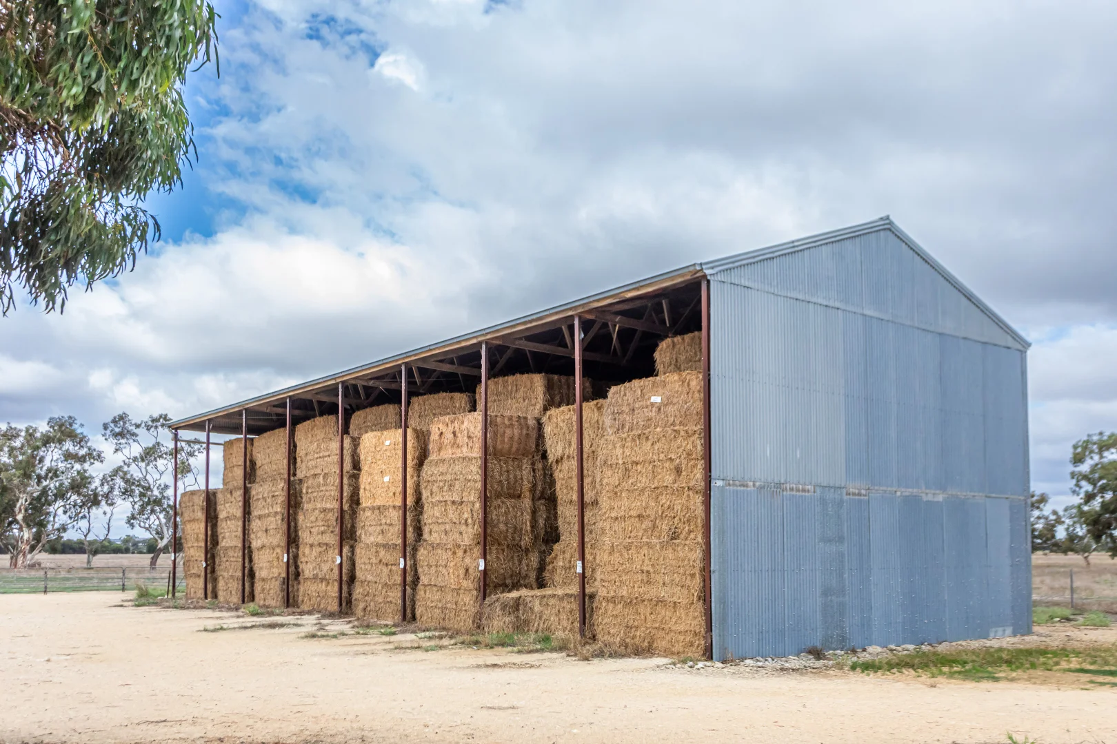 Additional image 25 of 3258 Riddoch Highway, Willalooka SA 5267