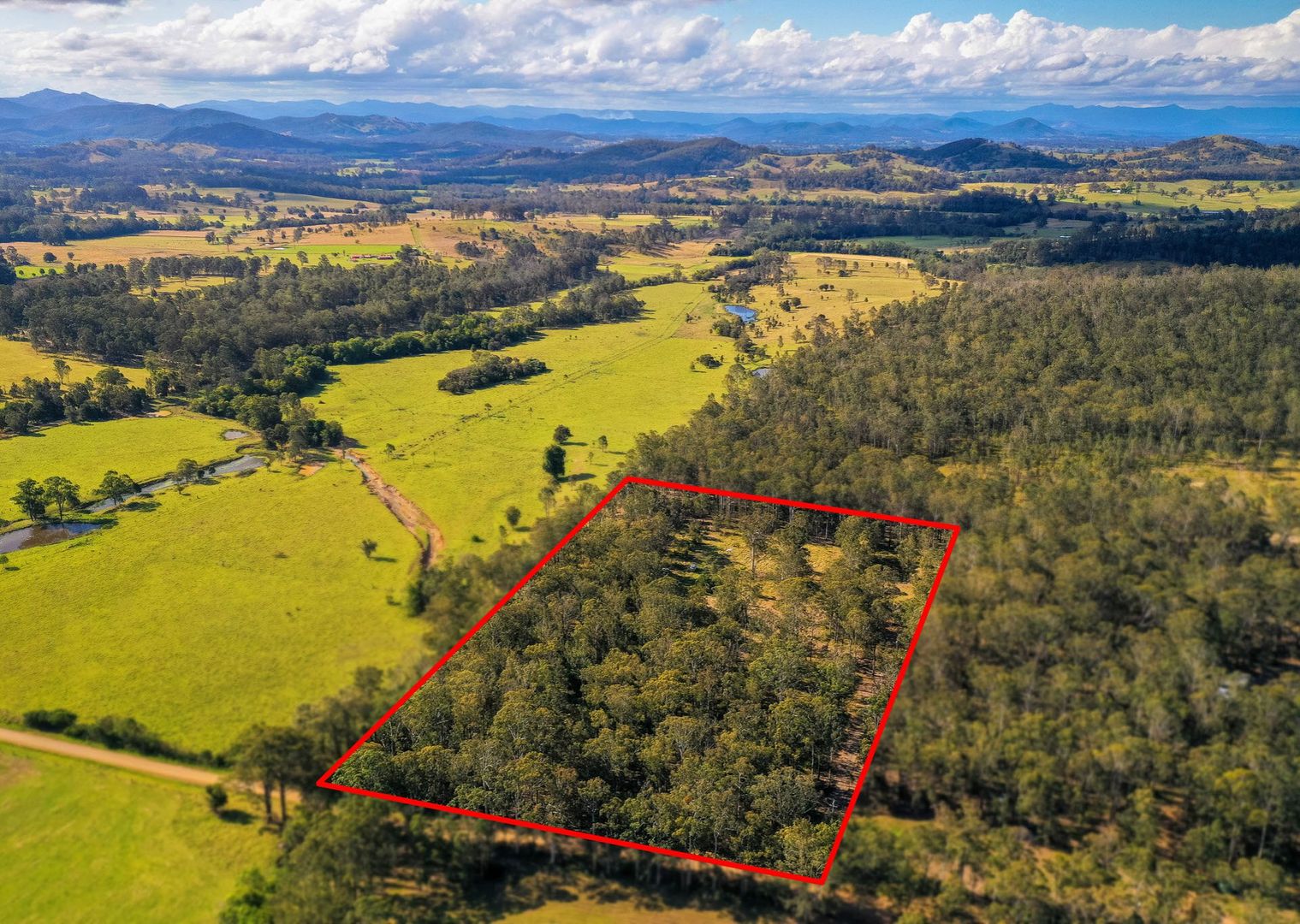 354 Careys Road, Hillville NSW 2430, Image 1