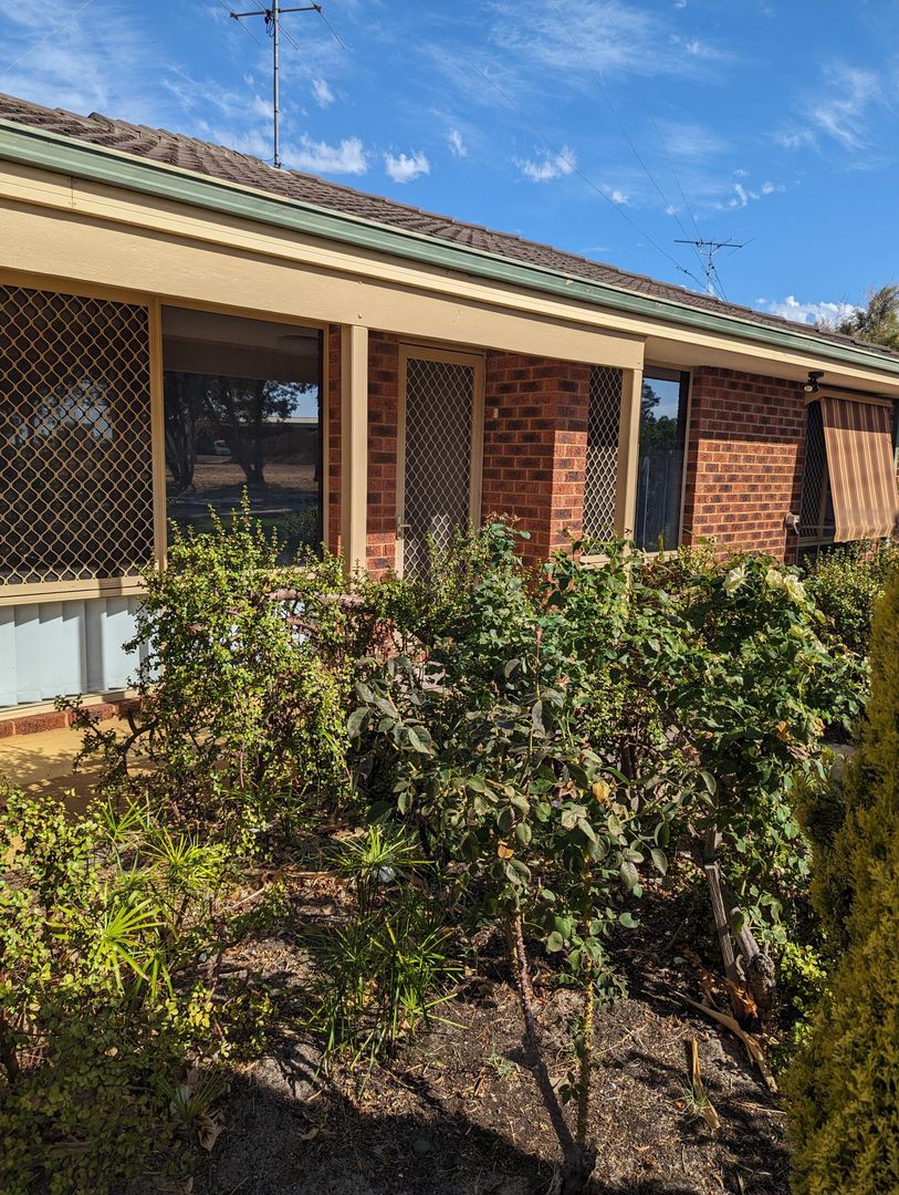 14 Prowse Road, Capel WA 6271 House For Rent 550 Domain