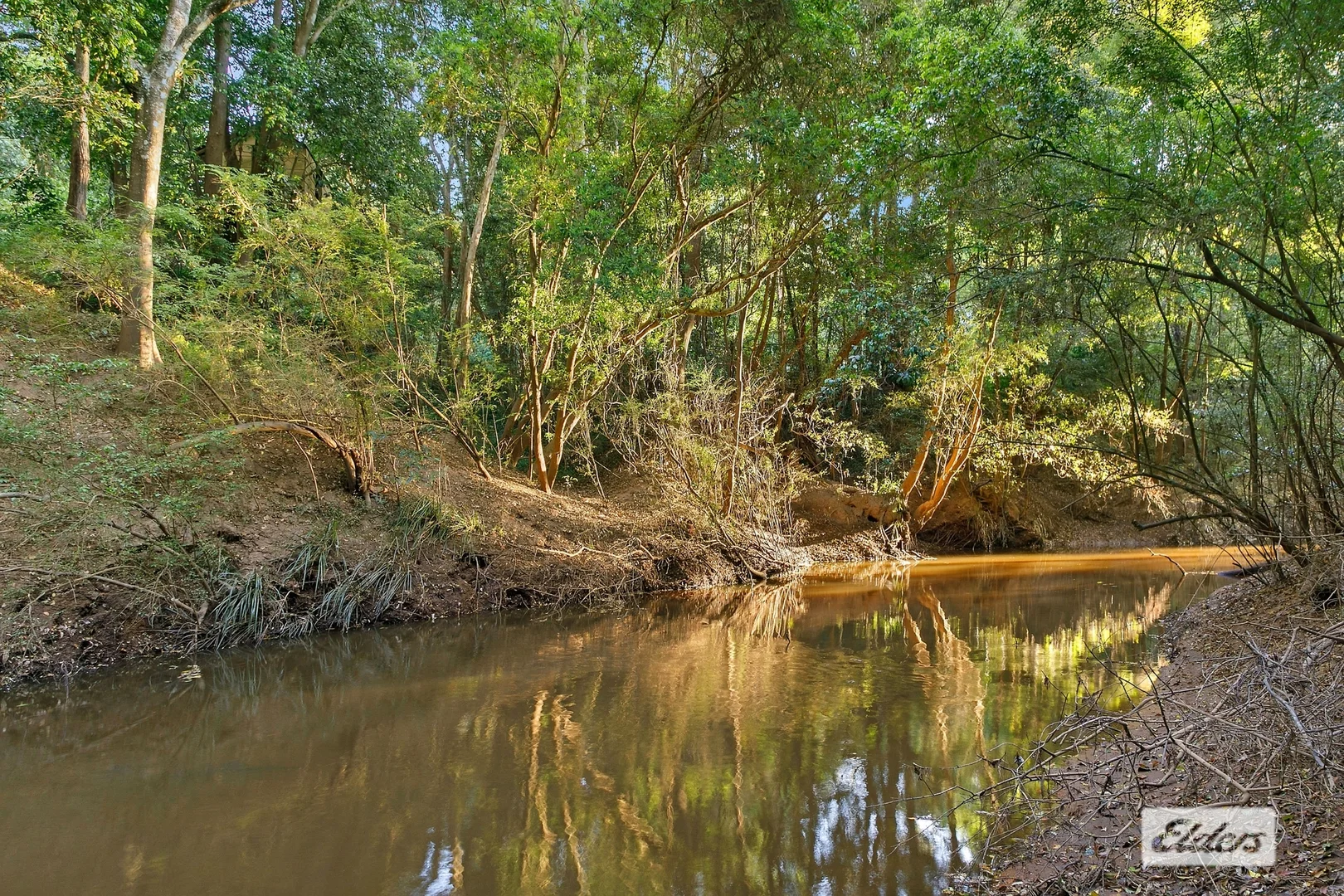 Image 11