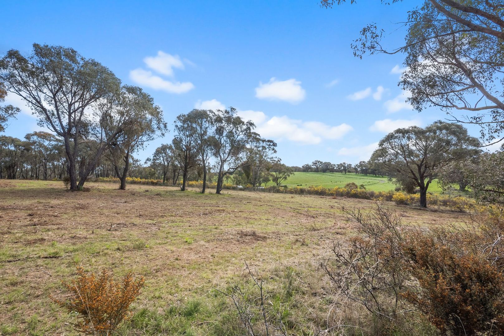 Lot 2 Sutton Grange Rd, Sedgwick VIC 3551, Image 1