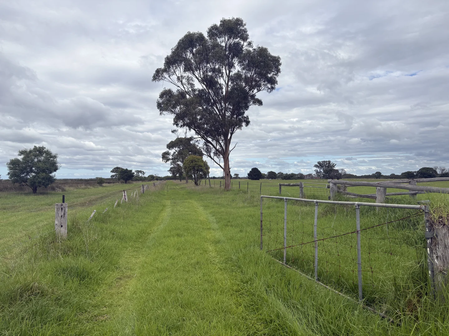 Image 17