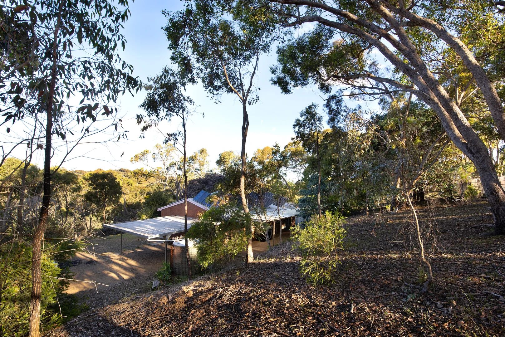 Image 11