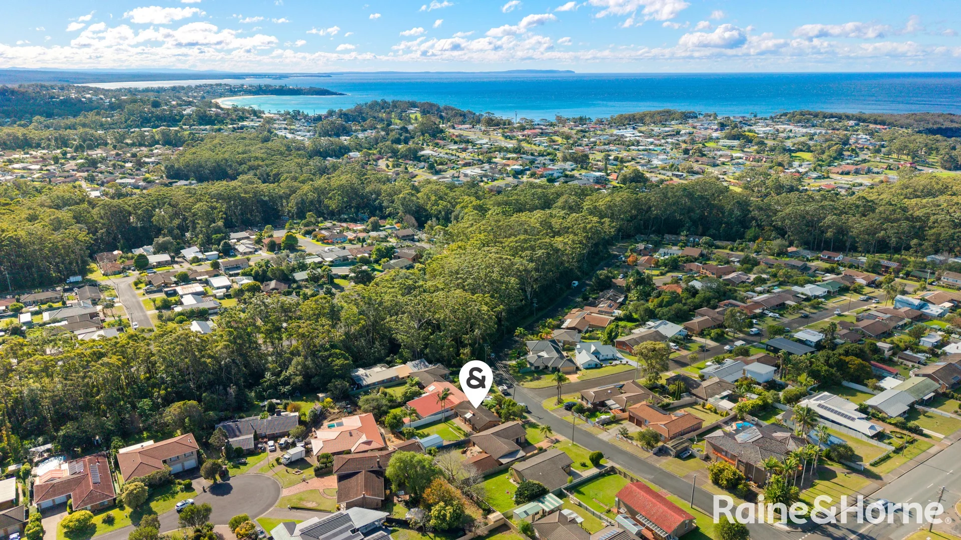 Image 21