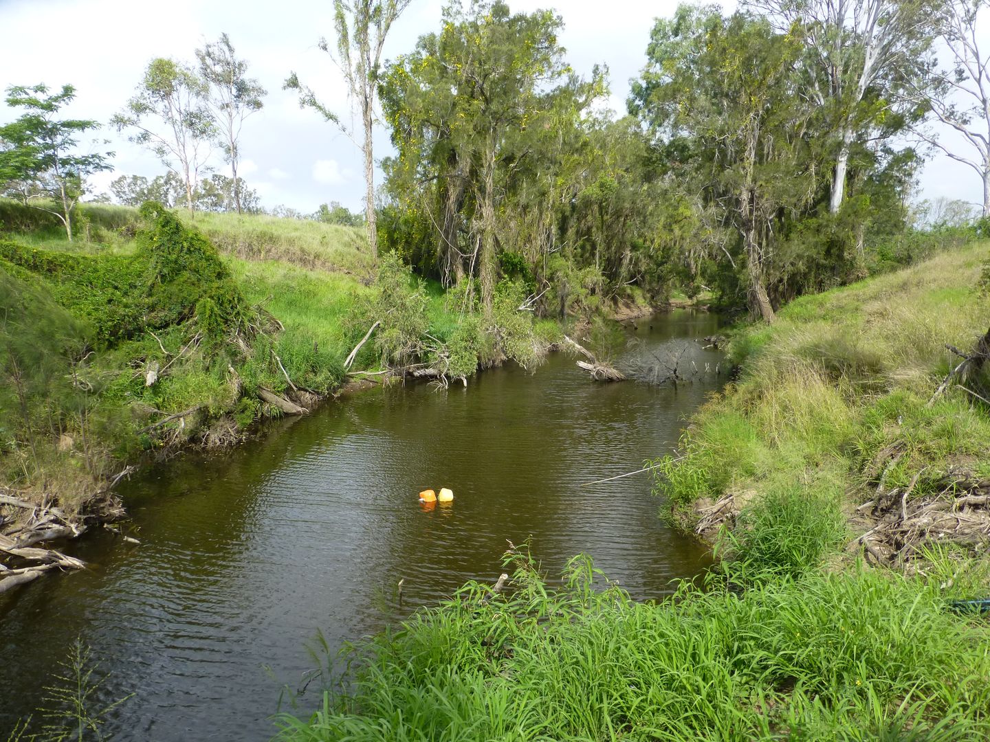 Lot 17 OLD COACH ROAD, Degilbo QLD 4621, Image 1