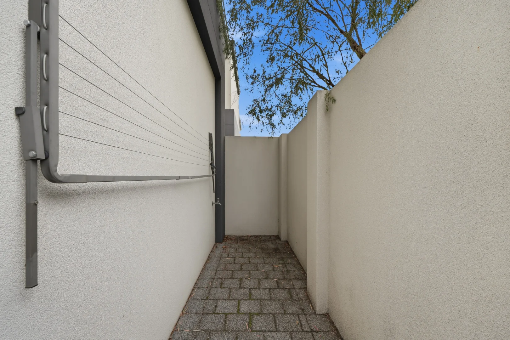 Image 19