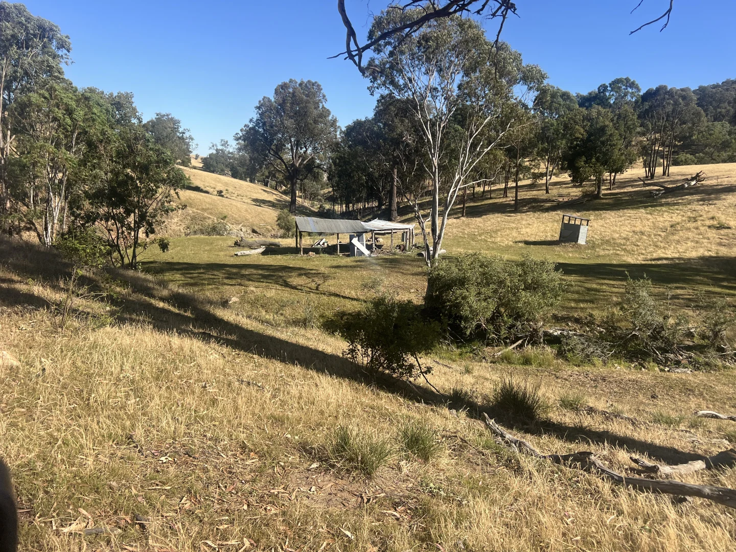 Image 15