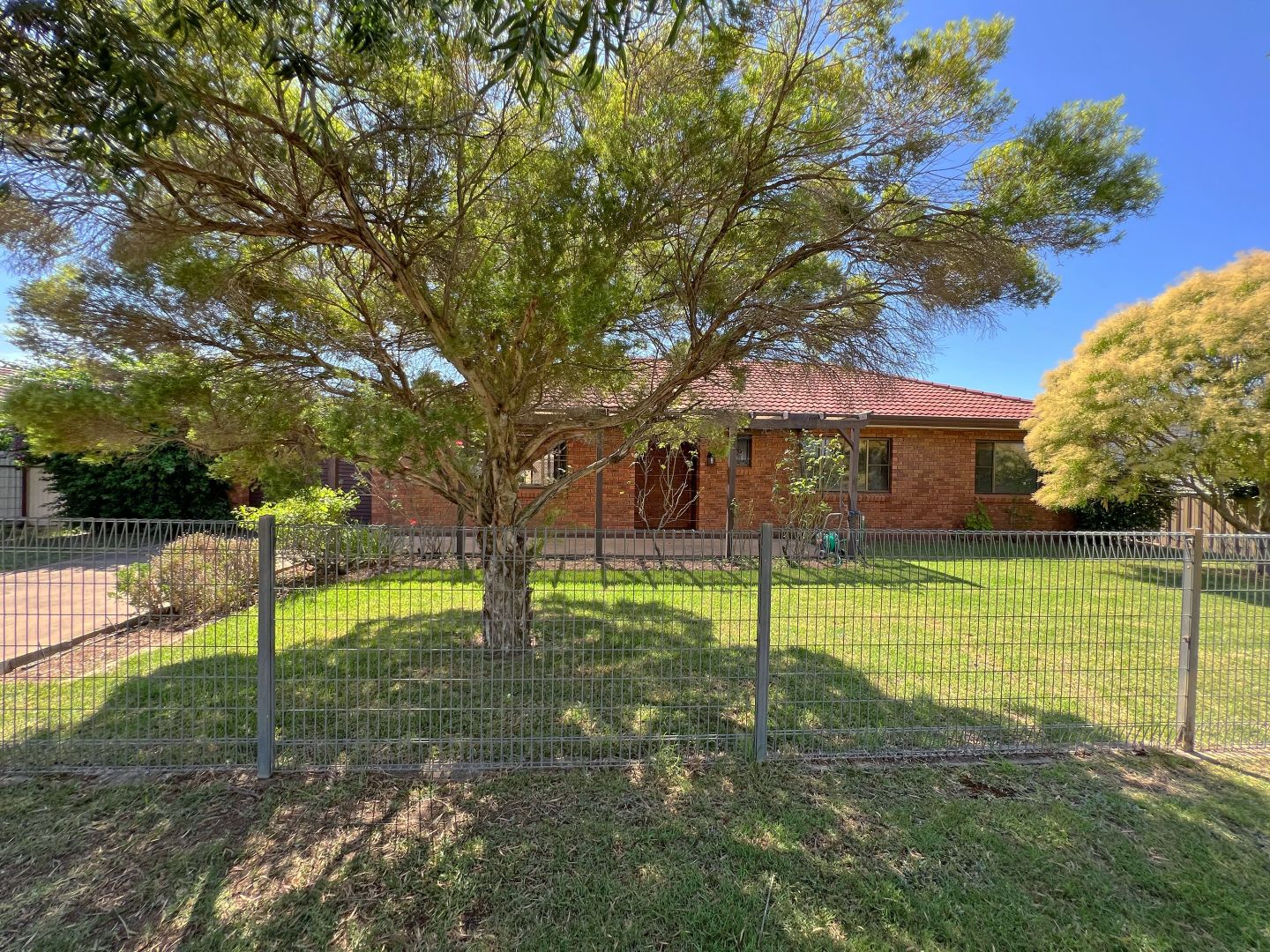 117 York Street, Forbes NSW 2871, Image 1