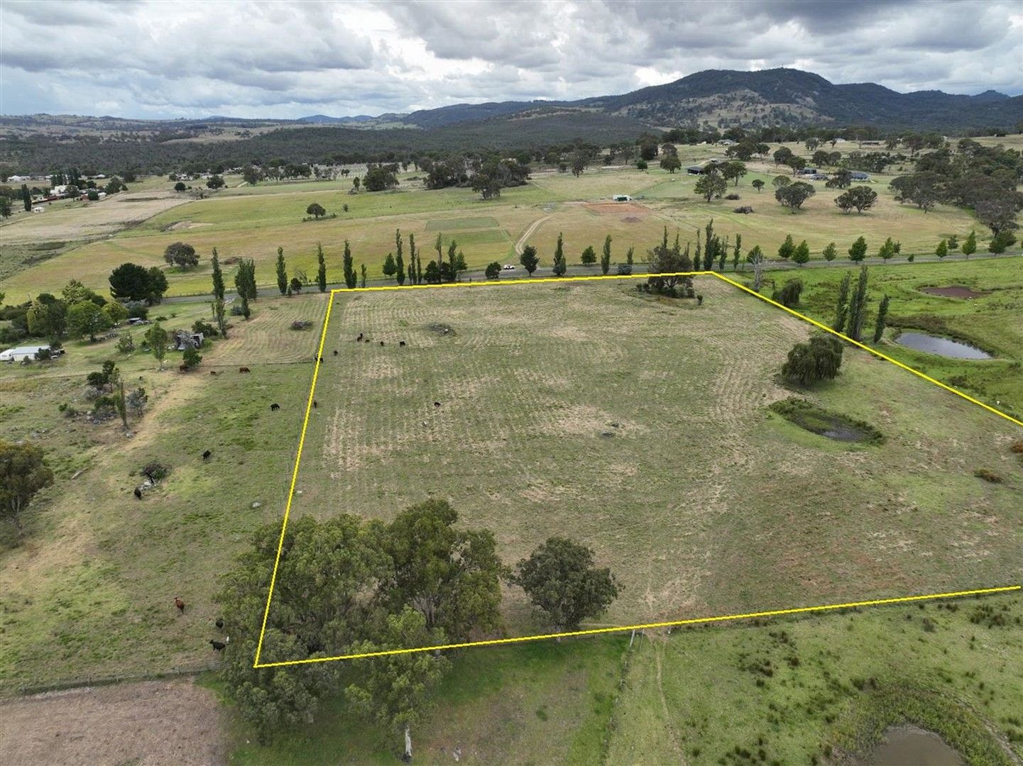 Lot 2 Sunnyside Loop Road, Tenterfield NSW 2372, Image 0