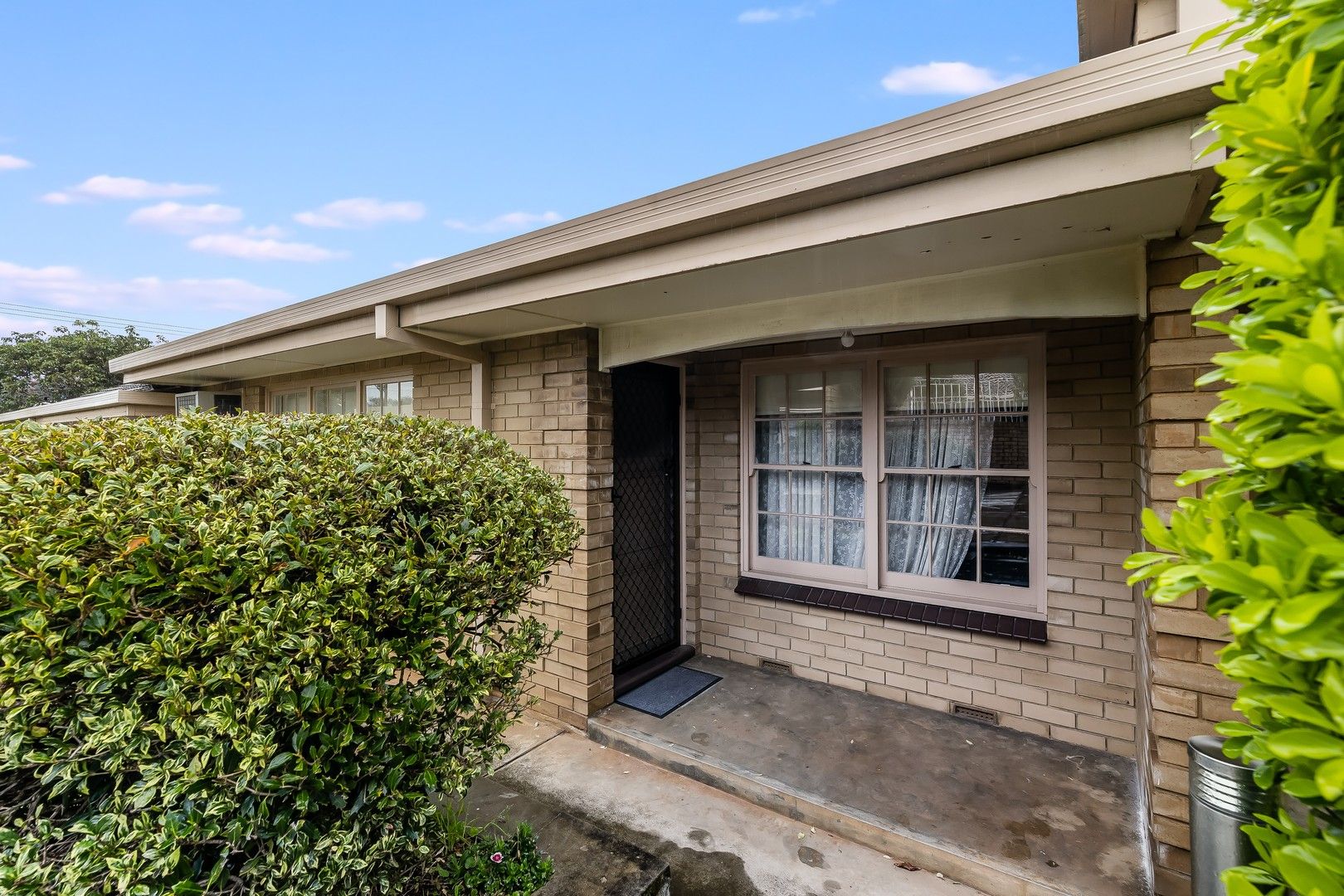 4/486 Portrush Road, Linden Park SA 5065, Image 0