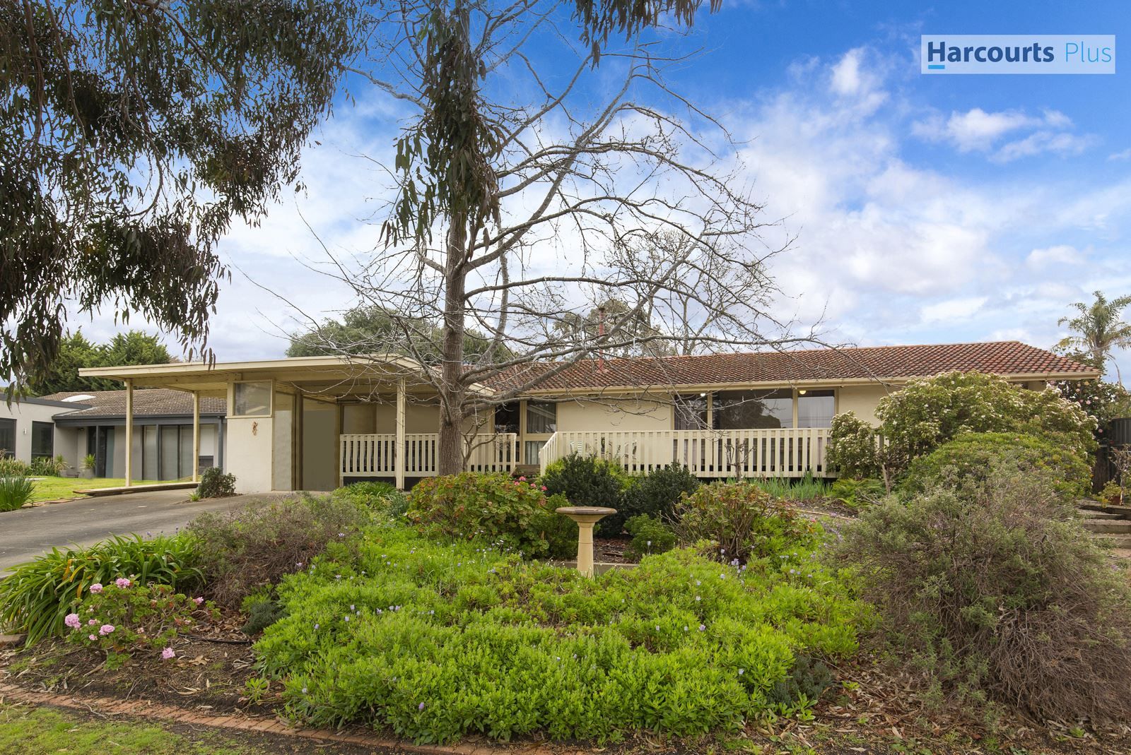 20 Ridgway Drive, Flagstaff Hill SA 5159, Image 1