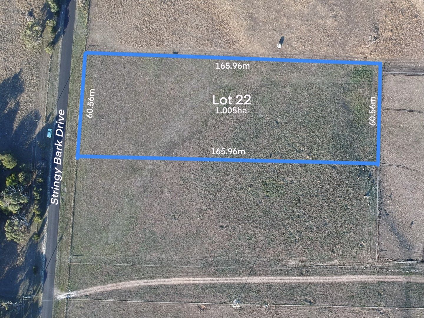 22 Stringy Bark Drive, Millicent SA 5280 Vacant Land for Sale