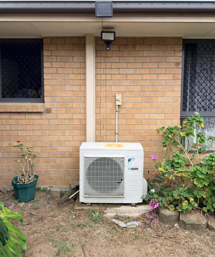 Image 19